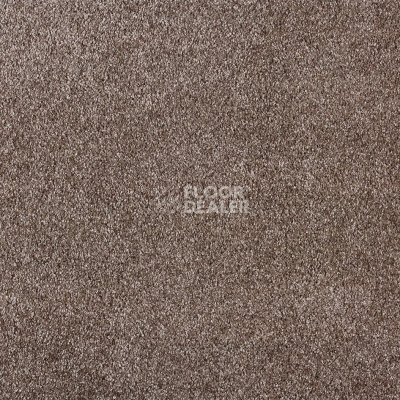 Ковролин AW Scent 49 фото 1 | FLOORDEALER